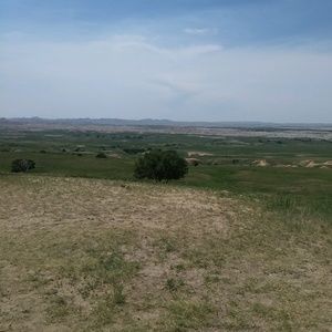 Meet your Posher, Sheena